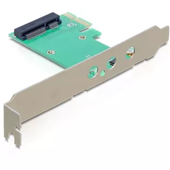 Interfeisa karte DeLOCK 89294