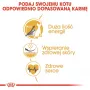 Sausā barība kaķiem Royal Canin Sphynx Adult 2 kg – cūkgaļas garša