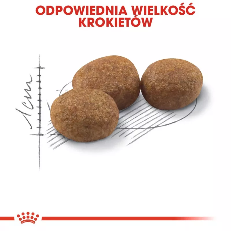 ROYAL CANIN Sterilised 37 - sausā barība kaķiem - 10 kg