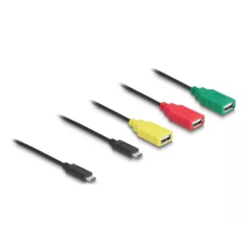 DeLOCK 4 portu USB 2.0 kabeļu centrmezgls USB Type-C uz 3 x USB-A sievišķais + 1 x USB-C vīrišķais