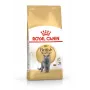 Sausā barība kaķiem Royal Canin British Shorthair Adult 10 kg — mājputni, olbaltumvielas 34%, tauki 19%