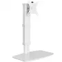 Monitora stiprinājums 17-32 collu, Balts