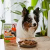 ANIMAL ISLAND Mono-Protein Pīle Suņiem 300g