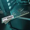 Patriot Signature 16 GB DDR5 4800 MHz ECC 288-pin UDIMM 1.1 V