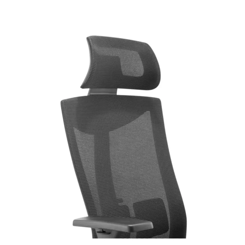 Ergonomiskais premium biroja krēsls Ergo Officer ER-414