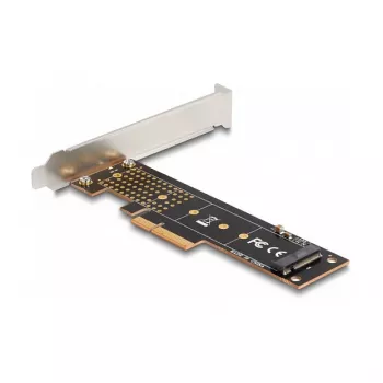 DeLOCK PCI Express x4 karte 1 x iekšējais NVMe M.2 Key M 110 mm Low Profile