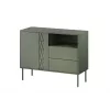 1D2S TRESSE kumode 100x40x75 matēts zaļš