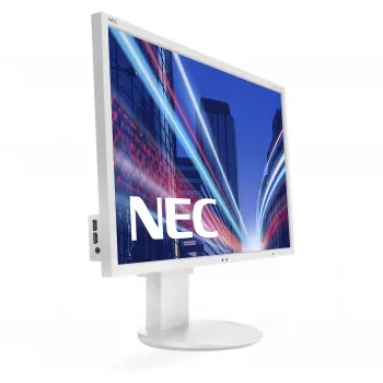 NEC G202591-003A4 Displejs