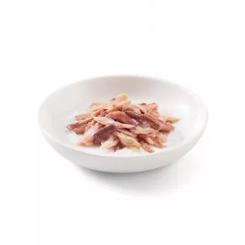 SCHESIR Tuncis ar liellopu gaļu želejā - mitrā kaķu barība - 85g