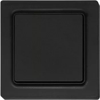 Slēdzis Eltako F2T55E-am 55×55 mm antistatisks matēts – sienas montāžas elektriskais slēdzis