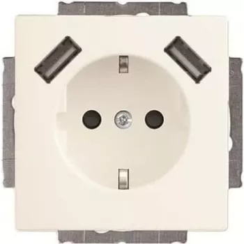 Busch-Jaeger SCHUKO-2x USB ligzda 20 EUCB2USB-884 (2CKA002011A6277)