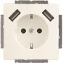 Busch-Jaeger SCHUKO-2x USB ligzda 20 EUCB2USB-884 (2CKA002011A6277)