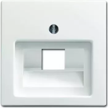 Busch-Jaeger centrālā ligzda UAE 1-vietīga 1803-914 (MPN 2CKA001753A0225)