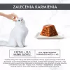 Slapjā barība kaķiem Purina Nestlé Gourmet Revelations gabaliņi želejā ar lasi 2x57 g, pieaugušiem, pilnvērtīga
