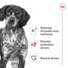 Royal Canin SHN Medium Adult sausā barība suņiem, 15 kg