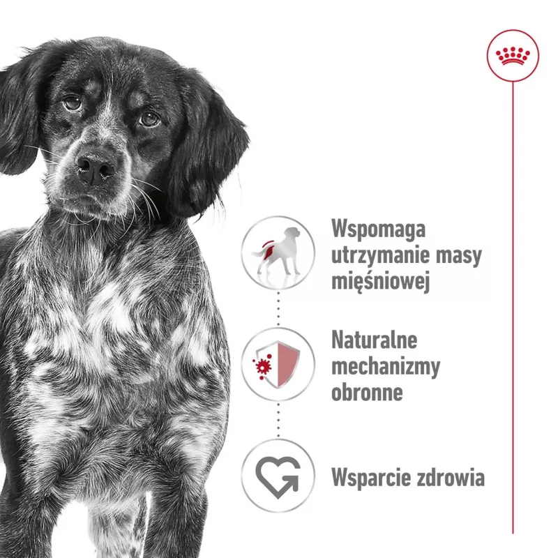 Royal Canin SHN Medium Adult sausā barība suņiem, 15 kg