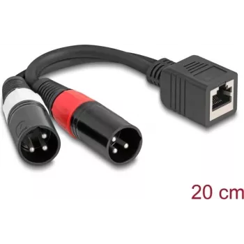 DeLOCK audio kabelis 0,2 m RJ-45 uz 2 x XLR (3-pin) Melns 88179