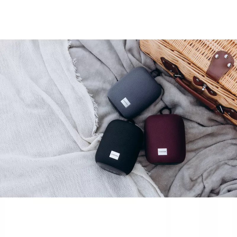 Canyon CNE-CBTSP8B Bluetooth skaļrunis melns