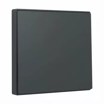 Gira System 55 Wippe Anthracite 329628 – slēdža svira modulārajiem rāmjiem