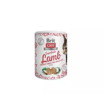 Brit Treat Superfruits Jērs 100 g – gaļīgs kārums kaķiem bez graudiem un konservantiem