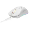 Datorpele Deltaco GAM-120-W RF Bezvadu USB Type-C