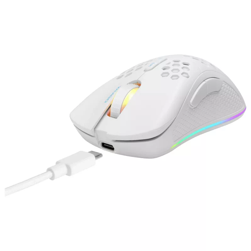 Datorpele Deltaco GAM-120-W RF Bezvadu USB Type-C