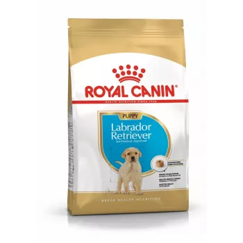 ROYAL CANIN SHN Breed Labrador Junior sausā barība suņiem - 12 kg