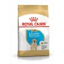 ROYAL CANIN SHN Breed Labrador Junior sausā barība suņiem - 12 kg