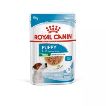 ROYAL CANIN SHN Mini Puppy mērcē - slapjš kucēnu barība - 12X85g