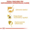 ROYAL CANIN BHN Yorkshire Terrier Adult - sausā barība suņiem - 3kg