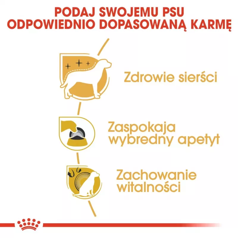 ROYAL CANIN BHN Yorkshire Terrier Adult - sausā barība suņiem - 3kg