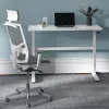 Rokas regulējams augstuma galds Ergo Office, max 40 kg, max augstums 117 cm, ar virsmu stāvus un sēdus darbam, ER-401 W