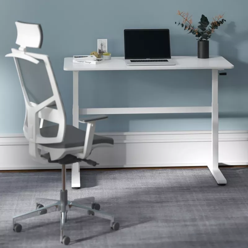 Rokas regulējams augstuma galds Ergo Office, max 40 kg, max augstums 117 cm, ar virsmu stāvus un sēdus darbam, ER-401 W