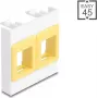 Montāžas rāmis DELOCK Easy 45 Modulis 2x Keystone turētāji 45×45 mm balts/dzeltens