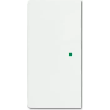 Busch-Jaeger 2CKA006220A0486 Pārsega plāksne sensora turētājam un kontaktligzdai, balta (2CKA006220A0486)