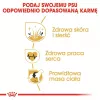 ROYAL CANIN BHN Golden Retriever sausā suņu barība - 12kg