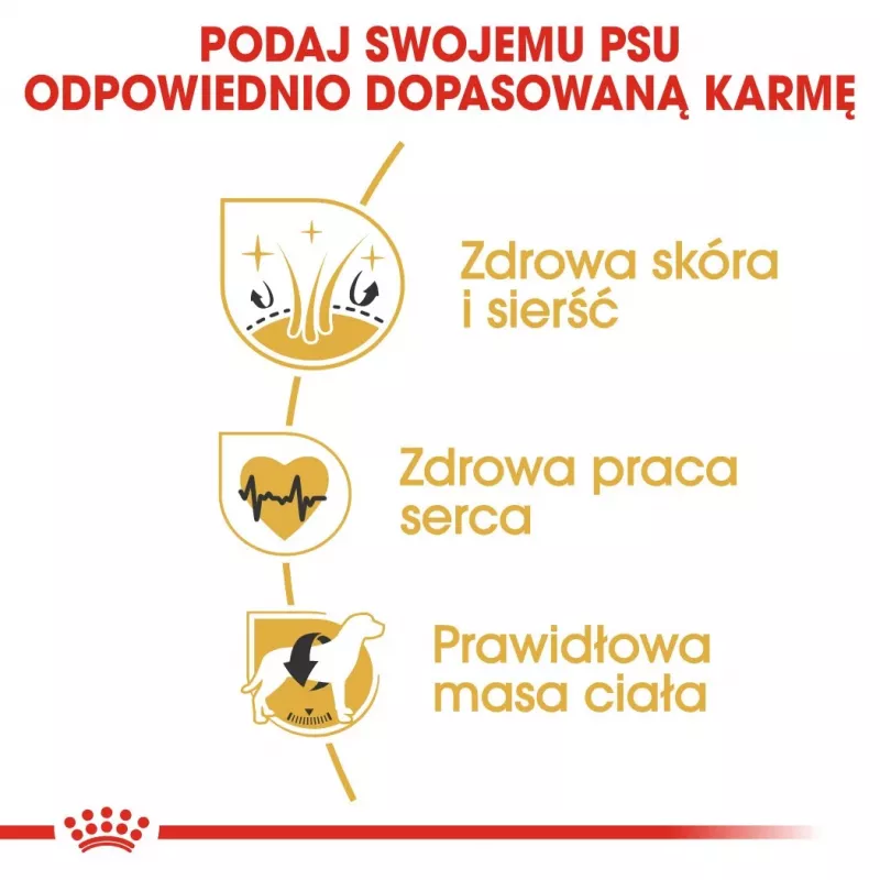 ROYAL CANIN BHN Golden Retriever sausā suņu barība - 12kg