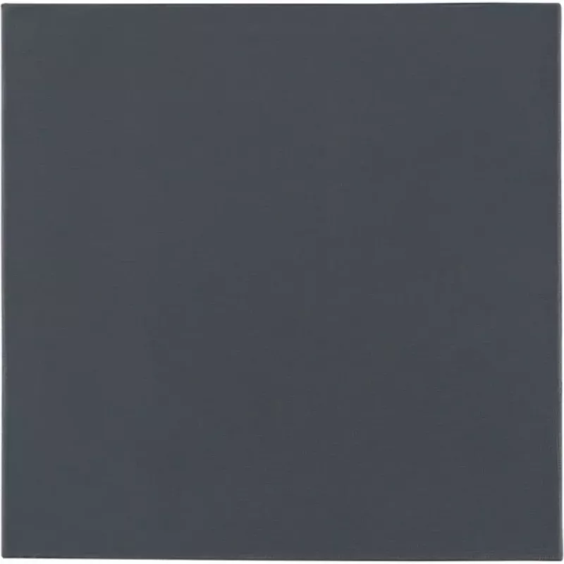 Thermal Grizzly Minus Pad Pro - 100 x 100 x 0.5 mm