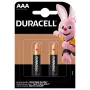 Sārma baterija Duracell Basic MN2400 AAA — iepakojums 2 gab., vienreizējās lietošanas elementi zemas un vidējas slodzes ierīcēm