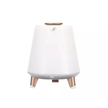 Pārnēsājams Bluetooth skaļrunis Blaupunkt BT25LAMP Balts