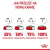 Royal Canin FHN Kitten sausais ēdiens kaķēniem, 4 kg
