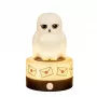 BlueSkyStudios Harry Potter mini lampa USB-C (dimējama)