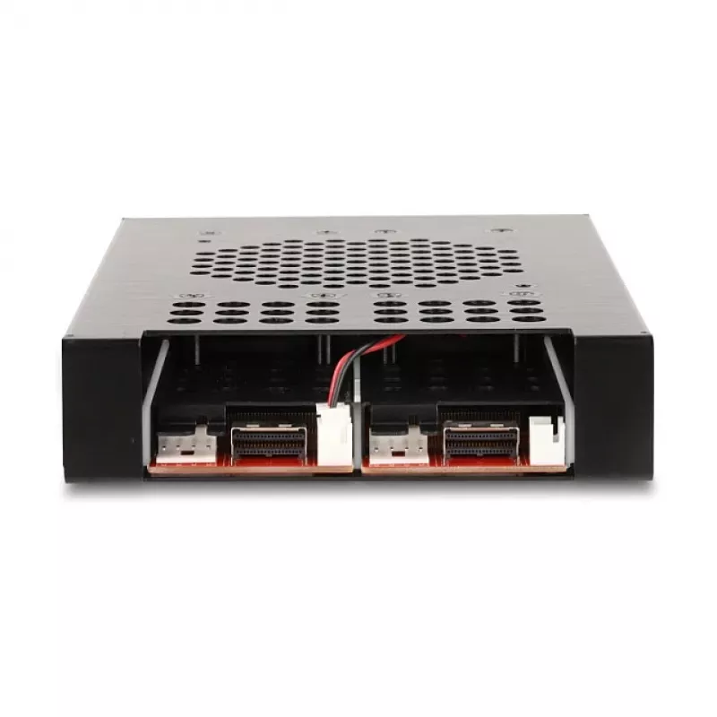 SSD korpuss DeLOCK 47117 3.5 collu mobilais plaukts 2 x M.2 NVMe SSD