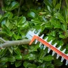 BD dzīvžoga šķēres 650W/60cm/25mm