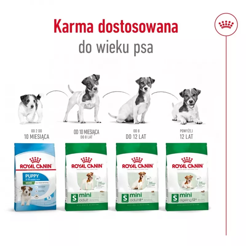 Sausā suņu barība Royal Canin Mini Adult 8+ 800 g — mazām šķirnēm, mājputni, 27% olbaltumvielas, 16% tauki