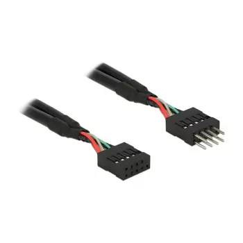 DeLOCK 0.1m 2xUSB2.0 10p iekšējais pagarinātājkabelis
