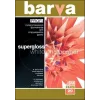 Foto papīrs Barva Profi Super Glossy 255 g/m² A3 20 loksnes