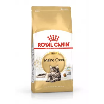 Sausā barība kaķiem Royal Canin Maine Coon Adult 10 kg – mājputnu gaļa (vista), 31% olbaltumvielas, 20% tauki