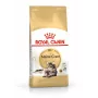 Sausā barība kaķiem Royal Canin Maine Coon Adult 10 kg – mājputnu gaļa (vista), 31% olbaltumvielas, 20% tauki