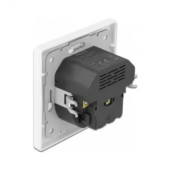 DeLOCK 11489 Sienas kontaktligzda CEE 7/3 + USB Balta 250V 16A